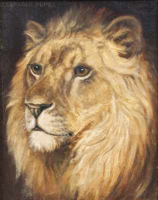 Appraisal: Alexander Pope Jr American - Study of a Lion Oil