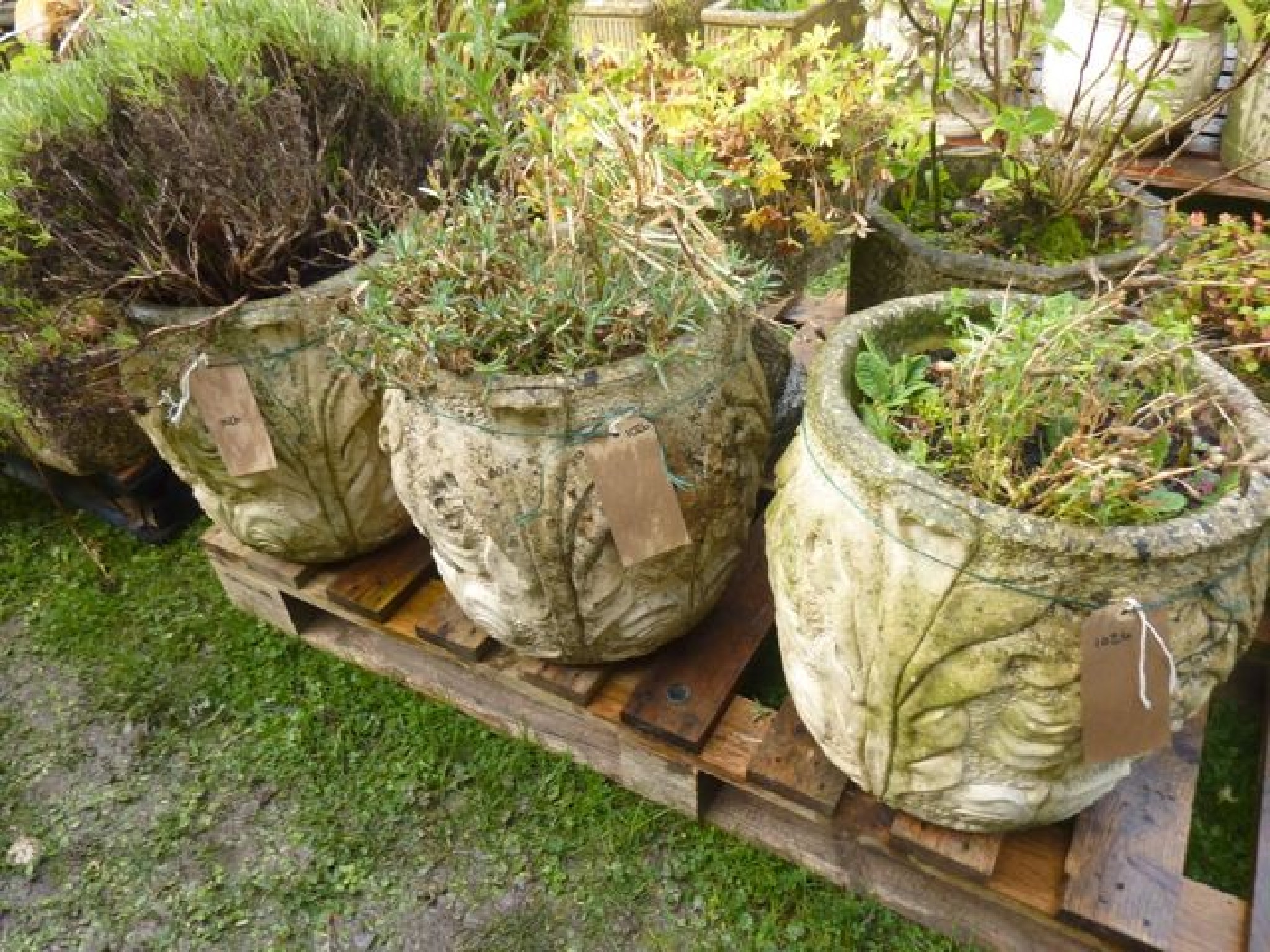 Appraisal: A set of three weathered cast composition stone garden planters