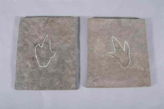 Appraisal: TWO DINOSAUR TRACKS Grallator impression and Grallator reverse impression