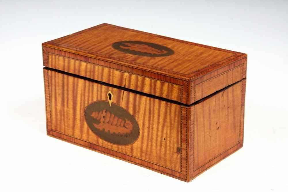 Appraisal: TEA CADDY - Federal Period Tea Caddy in bold figured