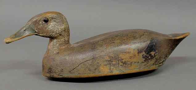 Appraisal: Hollow carved black duck decoy c Bellville Ontario with traces