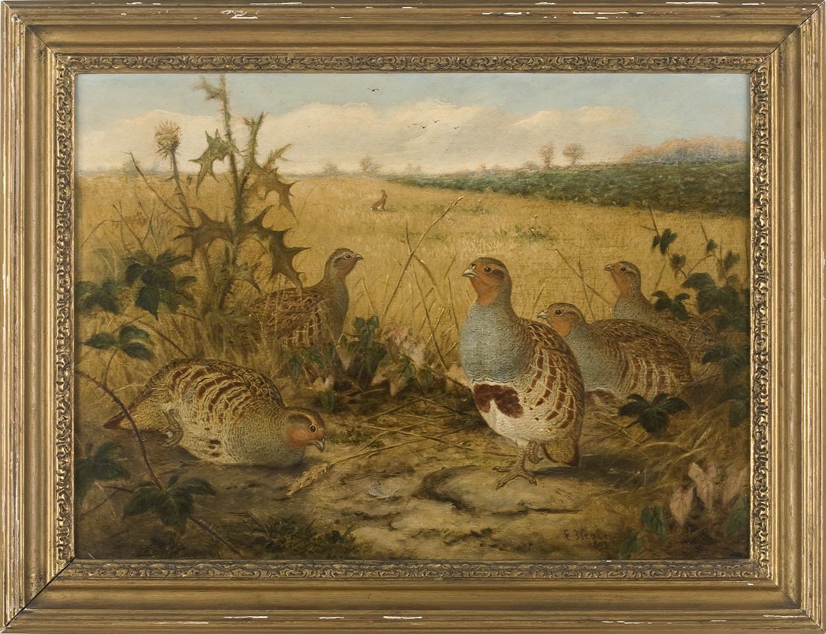 Appraisal: EDWARD NEALE BRITISH ACT - PARTRIDGES IN A MEADOW WITH