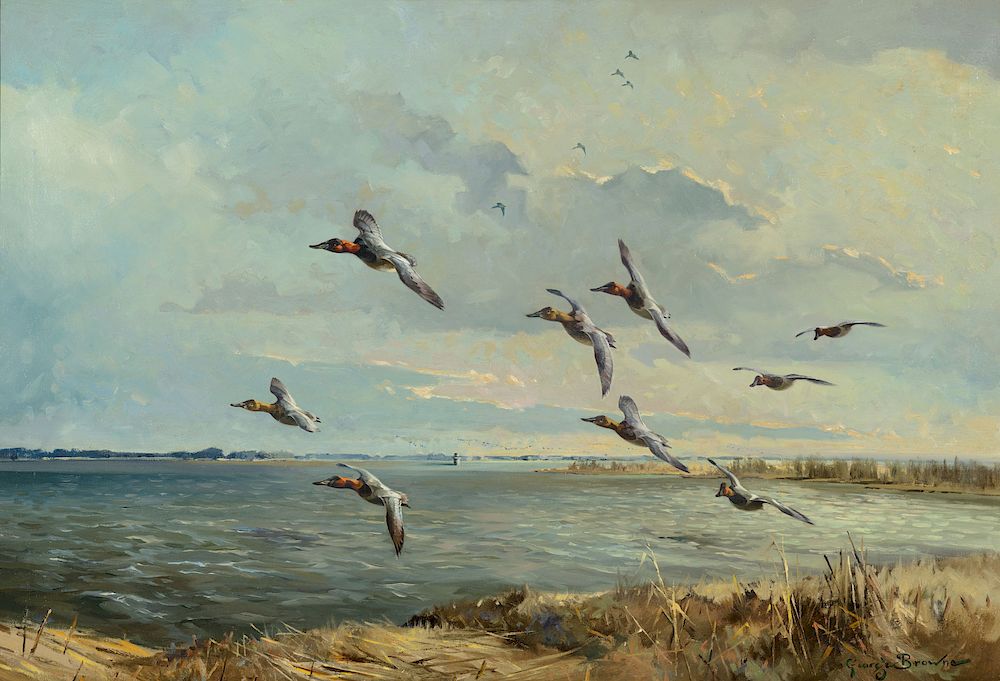 Appraisal: George Browne - Canvasbacks Swinging the Channel Chesapeake Bay Exclusive