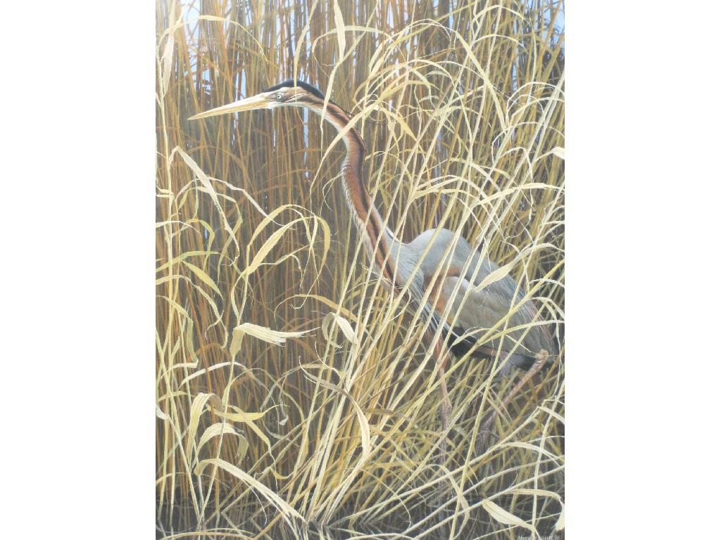 Appraisal: MATTHEW HILLIER b A Heron Amongst Reedssigned and dated 'Matthew