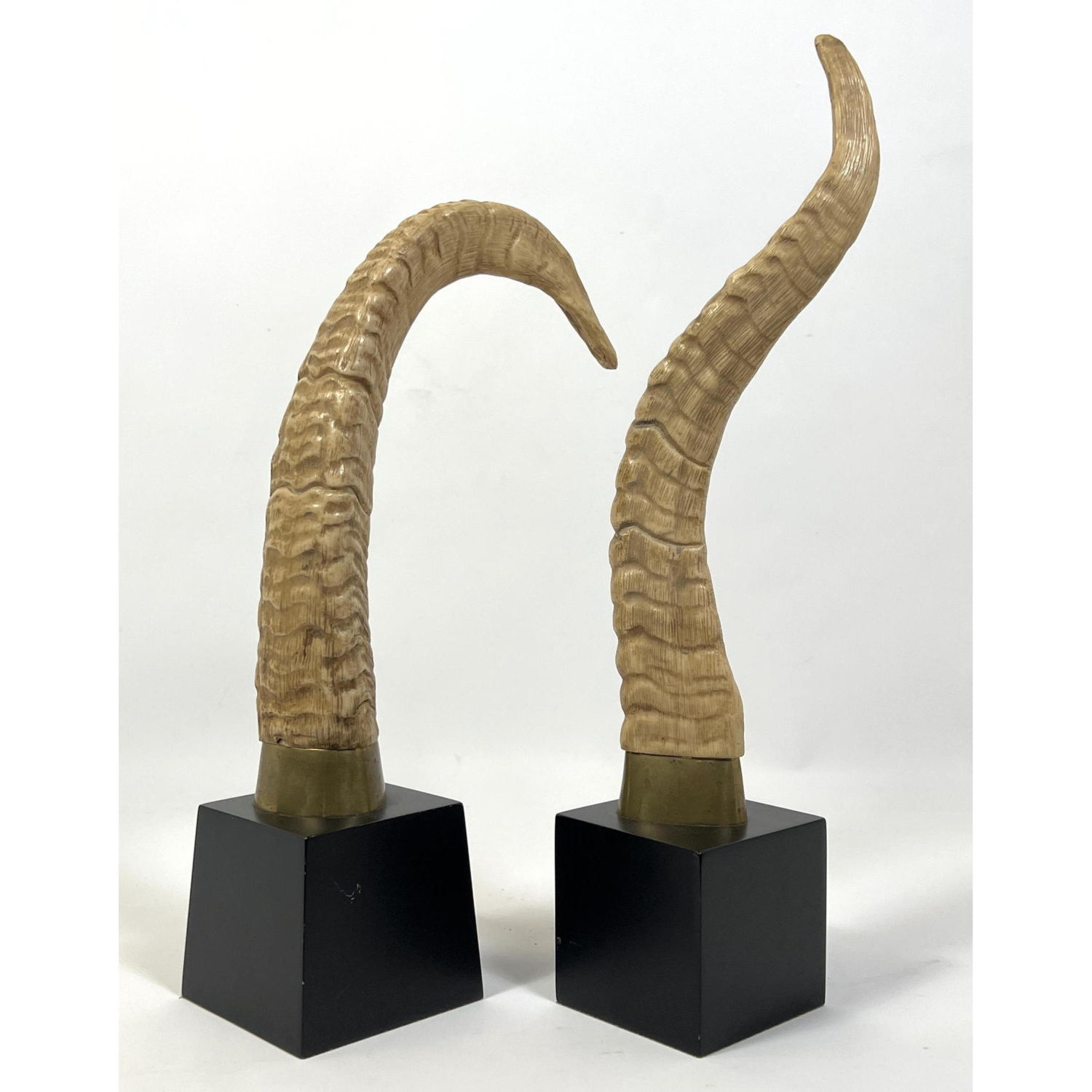 Appraisal: pc Faux Horn Sculptures on Cube Bases Dimensions H inches