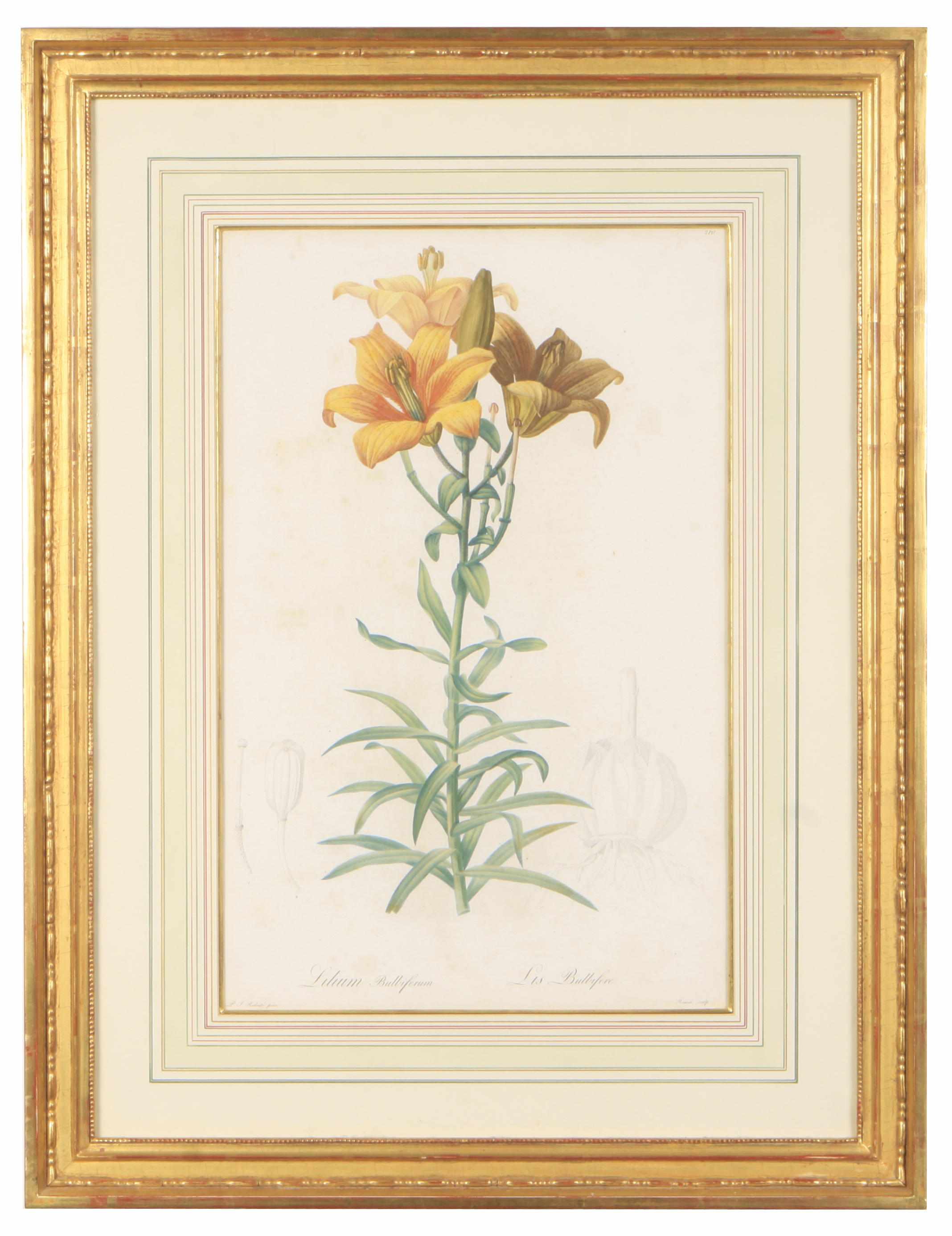 Appraisal: Property of various owners A group of three colored botanical