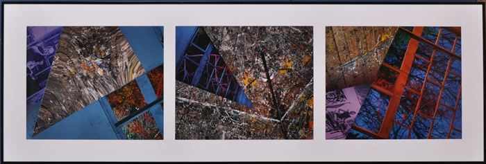 Appraisal: BARBARA KASTEN b JUXTAPOSITIONS Three cibachrome color prints each x