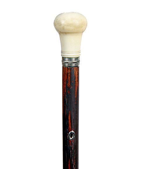 Appraisal: Nautical Dress Cane Exclusive on Bidsquare Ca - Walrus ivory