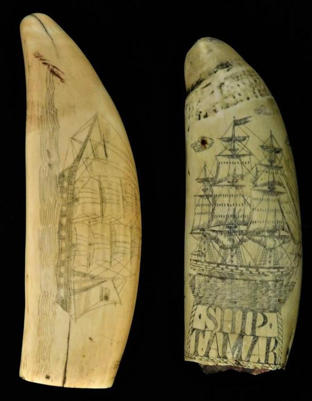 Appraisal: Scrimshaw two ship decorated objects one sperm whale tooth and