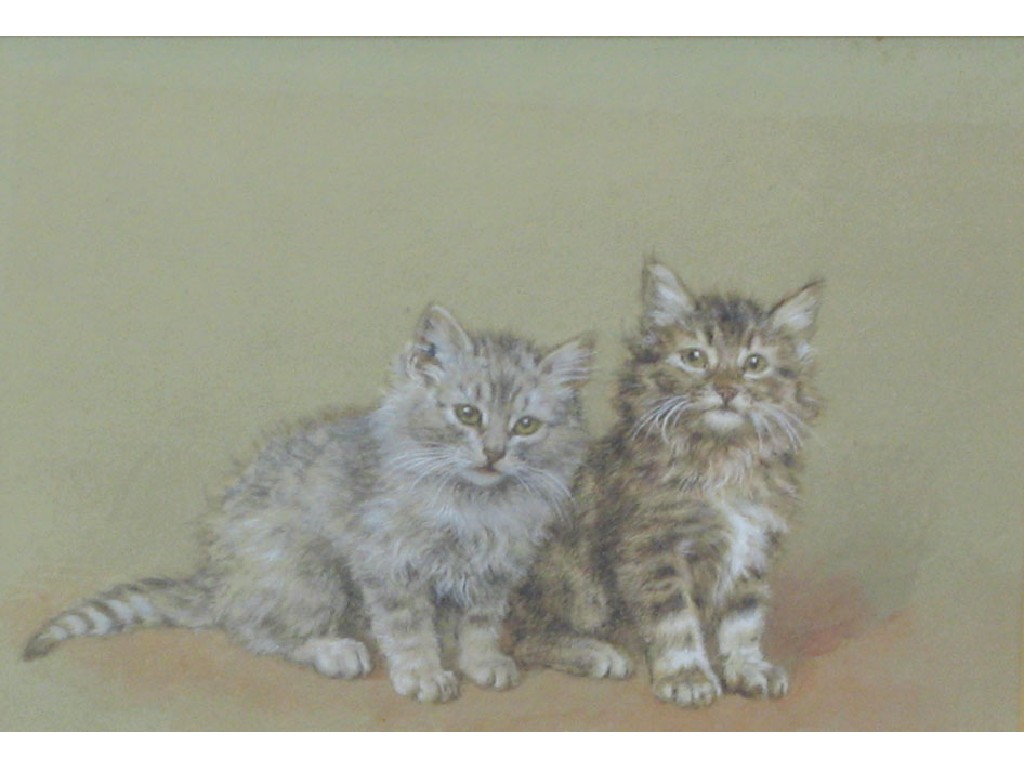 Appraisal: FRANK PATON Two kittens seated side by side watercolour heightened