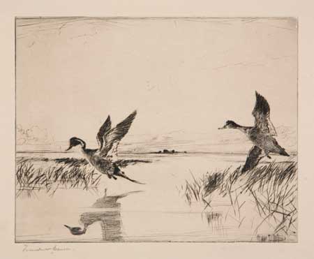 Appraisal: FRANK W BENSON Pair of Pintails Drypoint x mm x