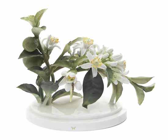 Appraisal: A Royal Worcester Dorothy Doughty Orange Blossom Spray with butterflies