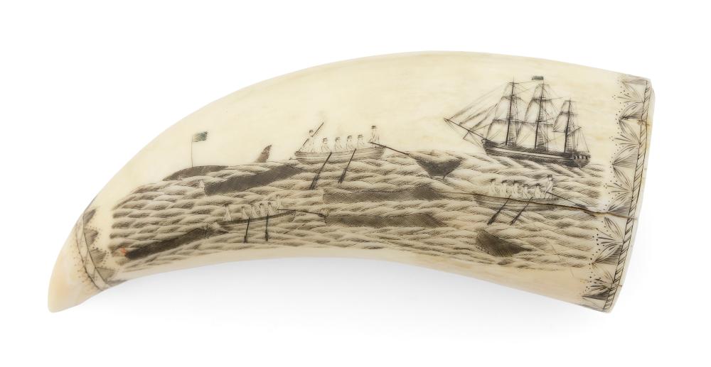 Appraisal: POLYCHROME SCRIMSHAW WHALE'S TOOTH BY THE BANKNOTE ENGRAVER DESCENDED IN