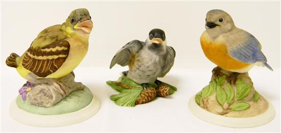 Appraisal: Boehm porcelain birds Baby Blue Bird C broken beak Baby