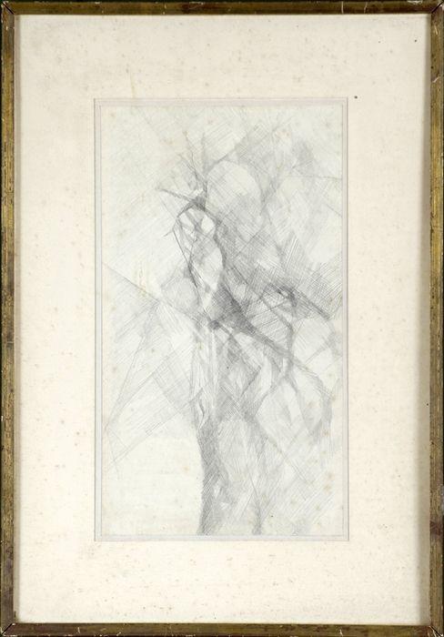 Appraisal: S Braverman th C Tree Pencil on paper initialed lower