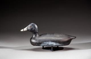 Appraisal: Exceedingly Rare Coot by Capt John C Schweikart Exceedingly Rare