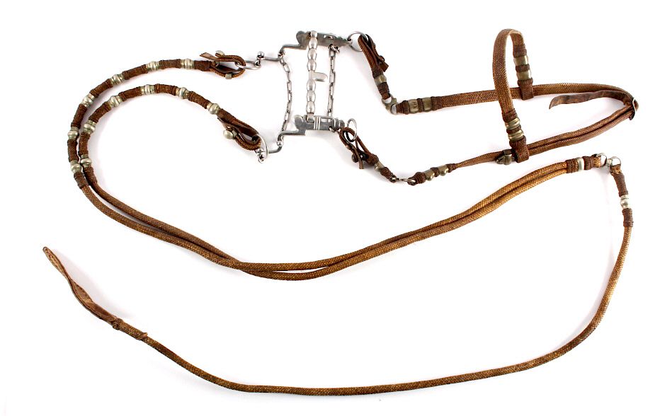 Appraisal: Antique Mexican Braided Cactus Headstall w Reins This is an