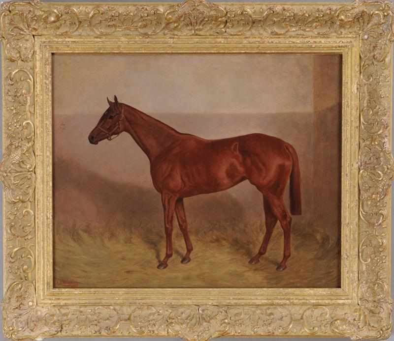 Appraisal: ALFRED G HAIGH - RACE HORSE IN A LOOSEBOX Oil