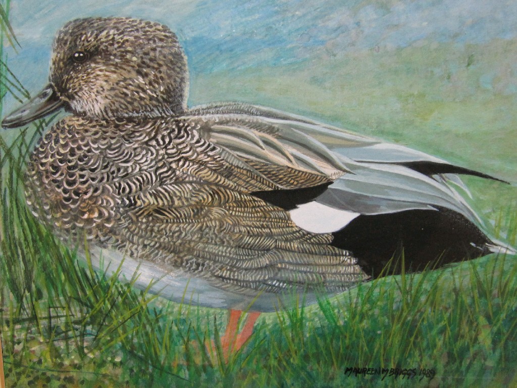 Appraisal: MAUREEN M BIGGS Watercolour 'Female Mallard' signed and dated