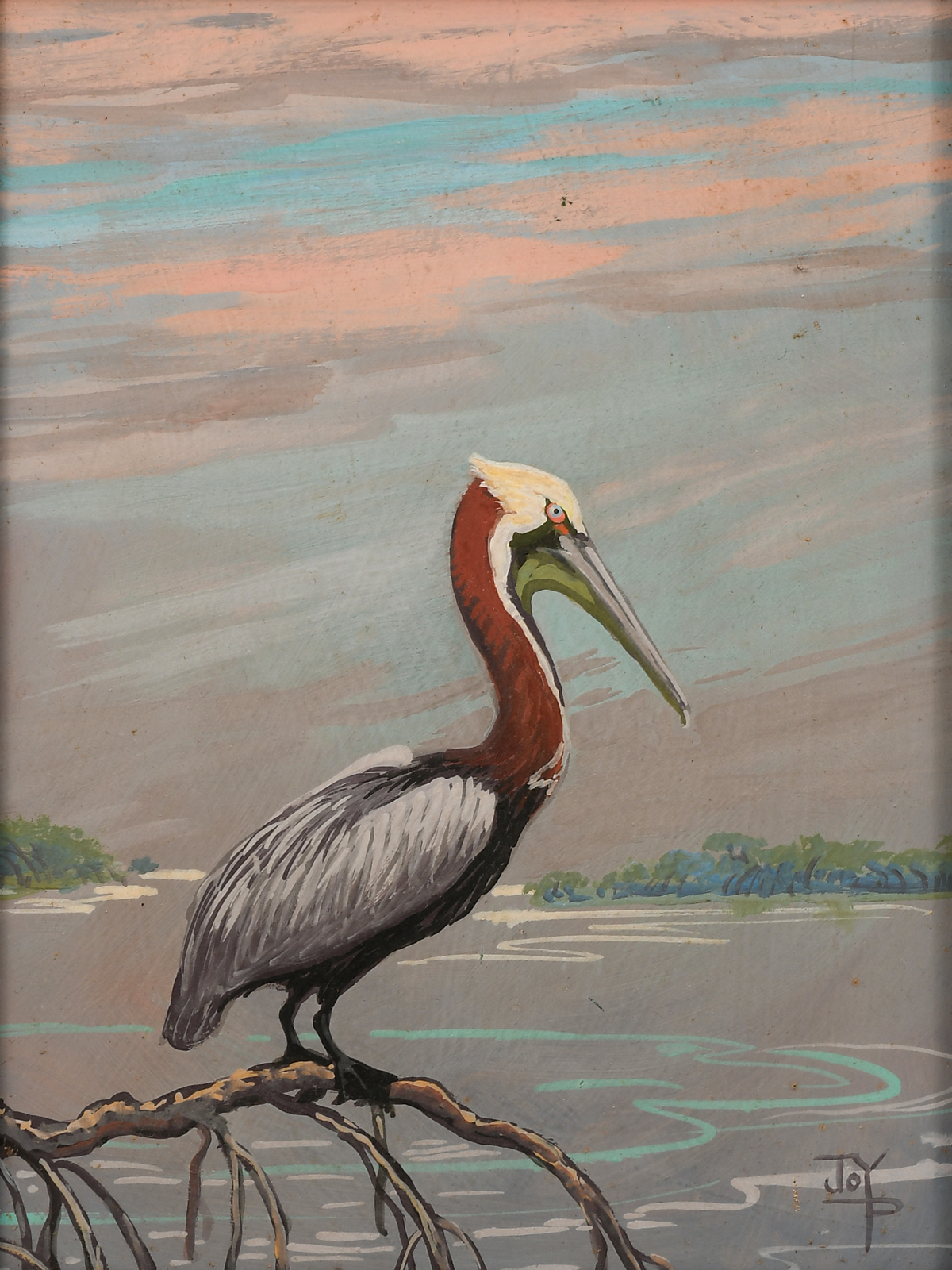 Appraisal: POSTLE Joy American - ''Brown Pelican and Mangrove'' Oil Board