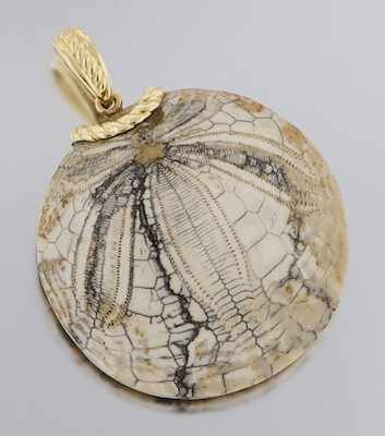 Appraisal: A Gold Mounted Fossilized Stone Pendant k yellow gold bail