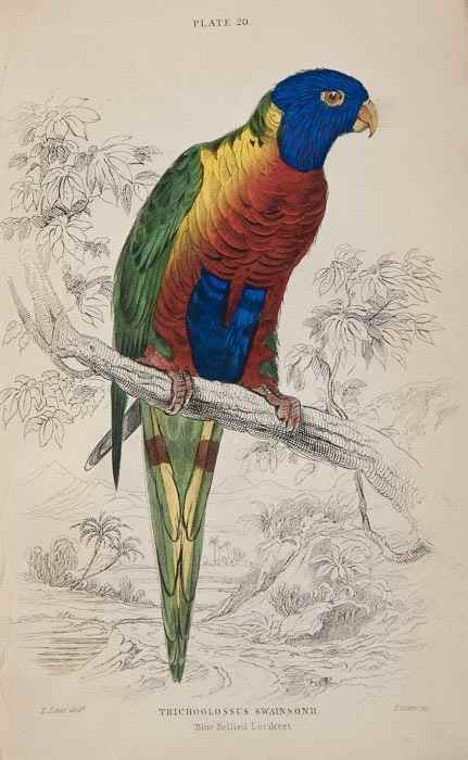 Appraisal: Jardine Sir William The Naturalist's Library vol hand-coloured engraved plates