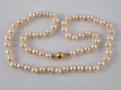 Appraisal: A cultured pearl necklace with a yellow metal tests carat