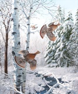 Appraisal: David A Maass b Winter Wonder Ruffed Grouse David A