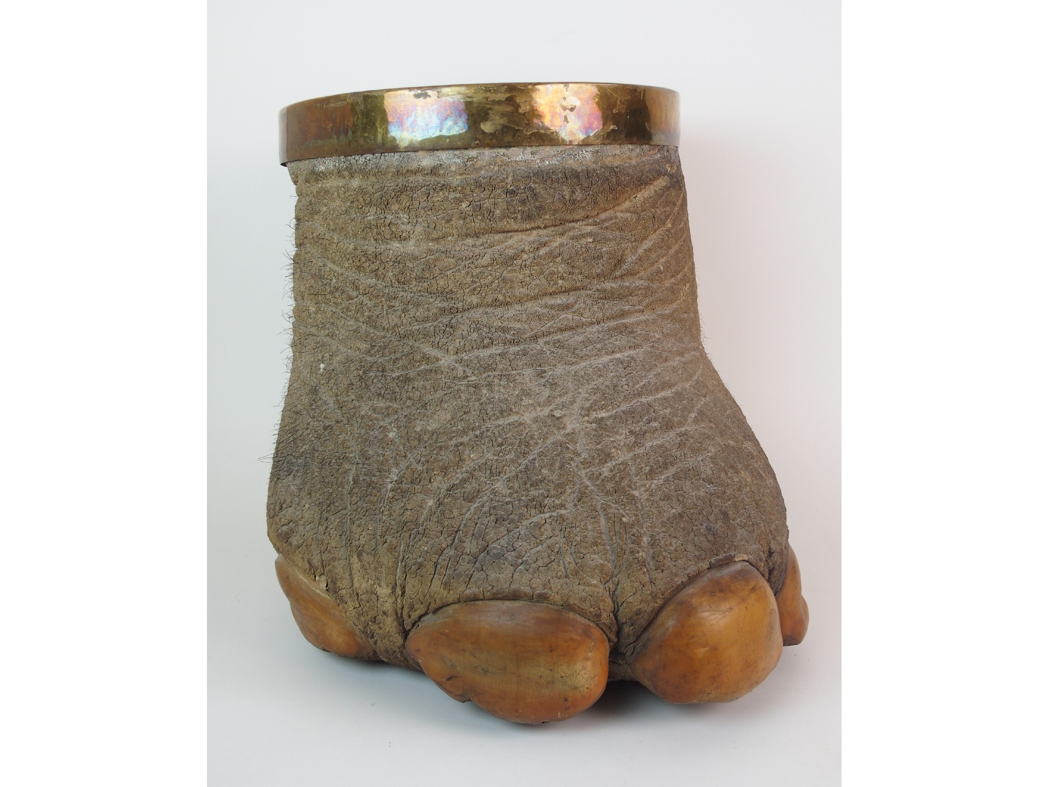 Appraisal: An early th Century elephant's foot paper binwith open metal