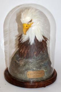 Appraisal: Jim Day The Sacred One American Bald Eagle sculpture in