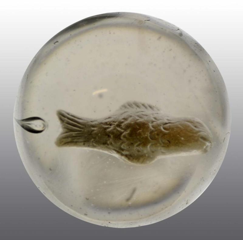 Appraisal: Sulphide Fish Marble Description Polished surface Great detail on fish