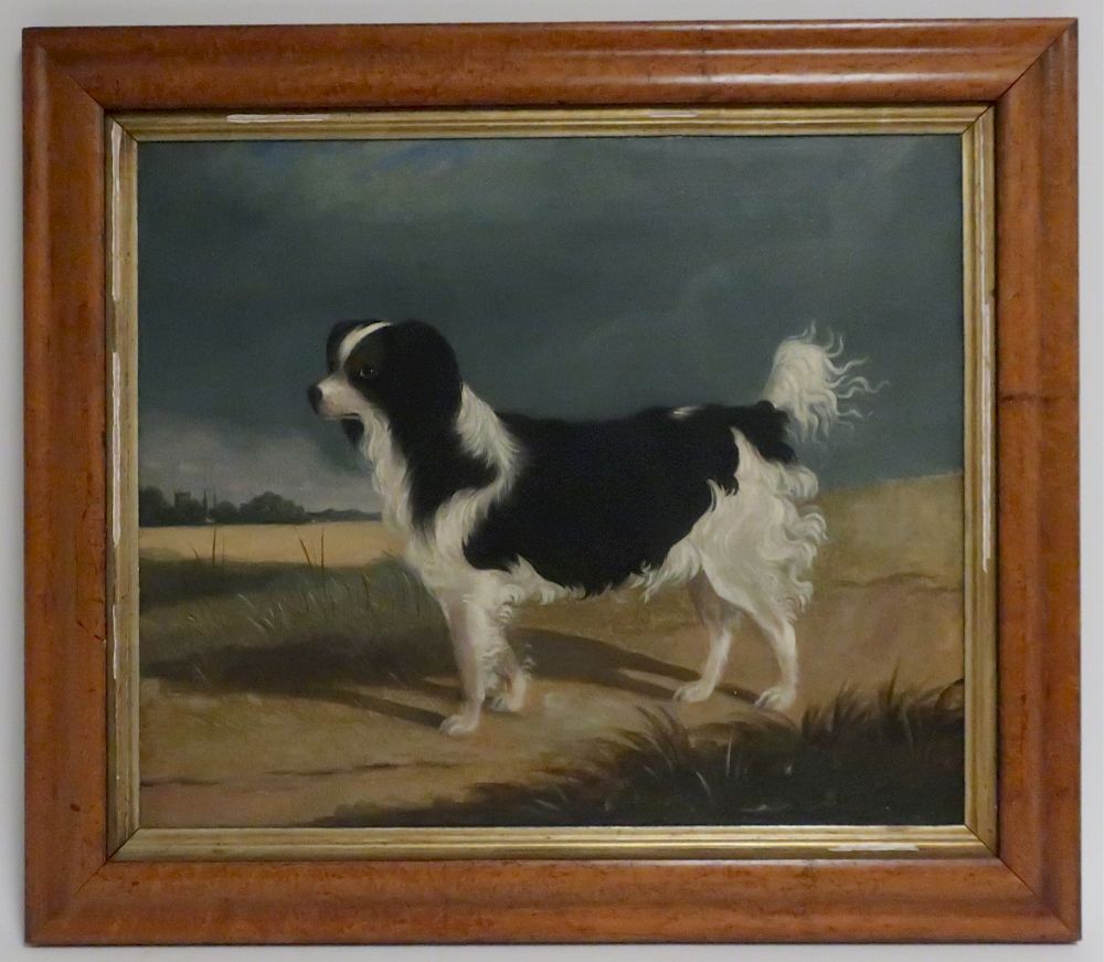 Appraisal: British Sch th c Portrait of a Spaniel O C