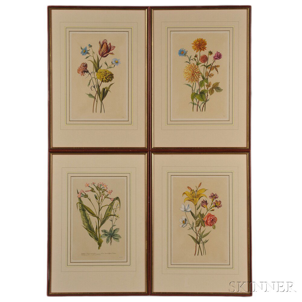 Appraisal: Four Hand-colored Botanical Prints Nicotiana signed I Miller sculp in