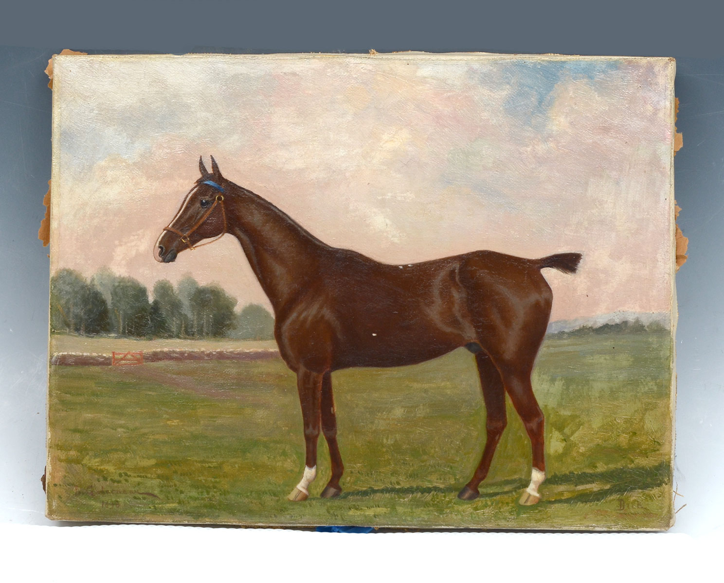 Appraisal: GALARNEAU Leopold Canadian - ''Dick'' Portrait of a Thoroughbred Racehorse