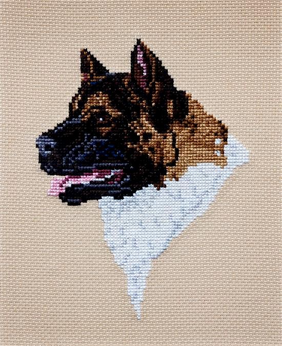 Appraisal: A Cross-Stitch depicting an Akita x inches A Cross-Stitch depicting