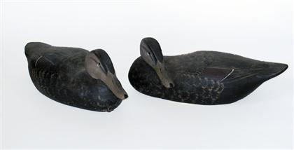 Appraisal: Pair of carved and painted black duck decoys bay head