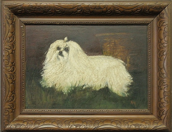 Appraisal: - Oil on board painting of a recumbent Shih Tzu