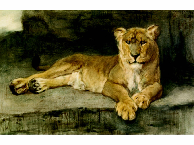 Appraisal: JAN VAN ESSEN DUTCH - LIONESS watercolor drawing on paper