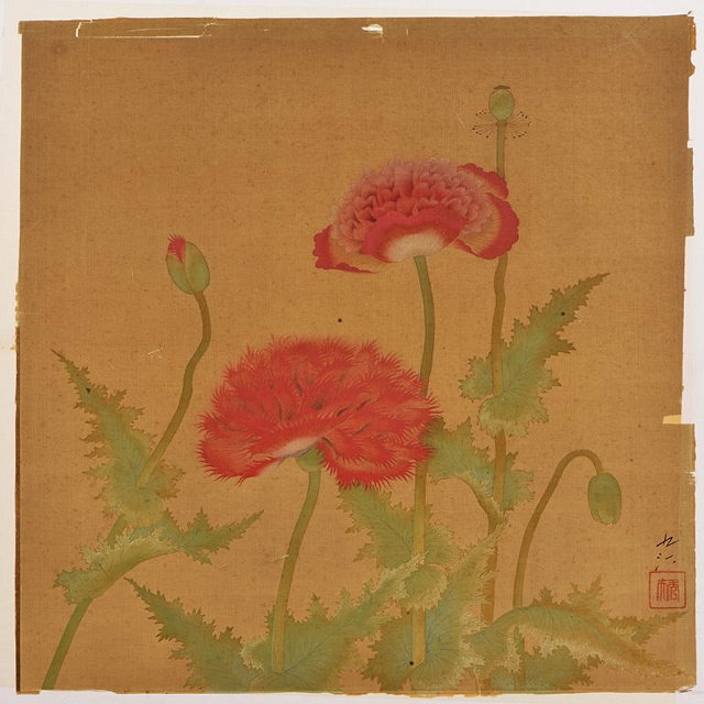 Appraisal: CHINESE LATE TH CENTURY SCHOOLA pair of flower studies each