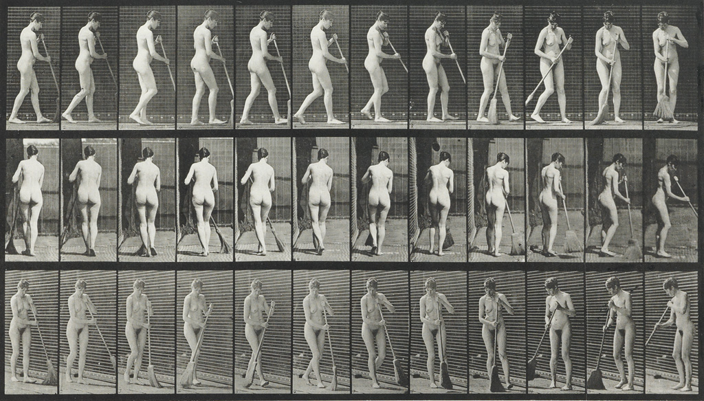 Appraisal: EADWEARD MUYBRIDGE - Plates and from Animal Locomotion each depicting