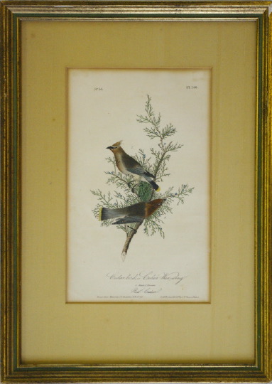 Appraisal: After John James Audubon American - Two hand-colored lithographs consisting