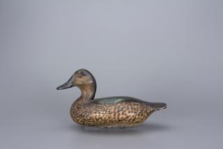 Appraisal: Blue-Winged Teal Hen Judge Glenn J Cameron - Chillicothe IL