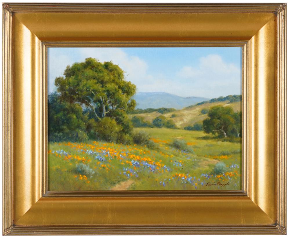 Appraisal: DAVID CHAPPLE COYOTE CANYON oil on panel signed lower right