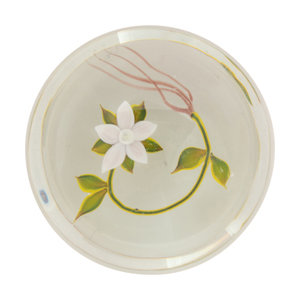 Appraisal: A Paul Stankard White Flower Botanical Glass Paperweight with PS