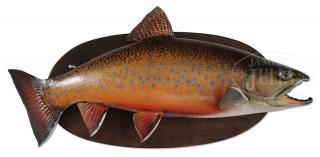 Appraisal: DAVID FOOTER BROOK TROUT TROPHY MOUNT DAVID FOOTER BROOK TROUT