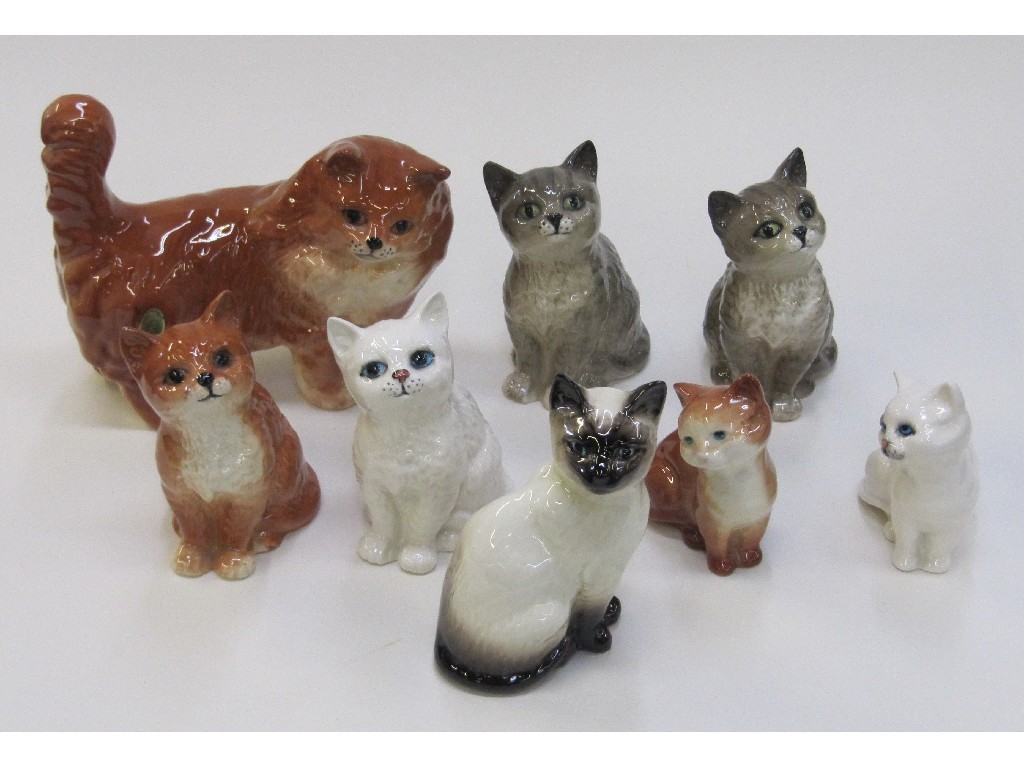 Appraisal: Eight Beswick figures of cats to include Siamese