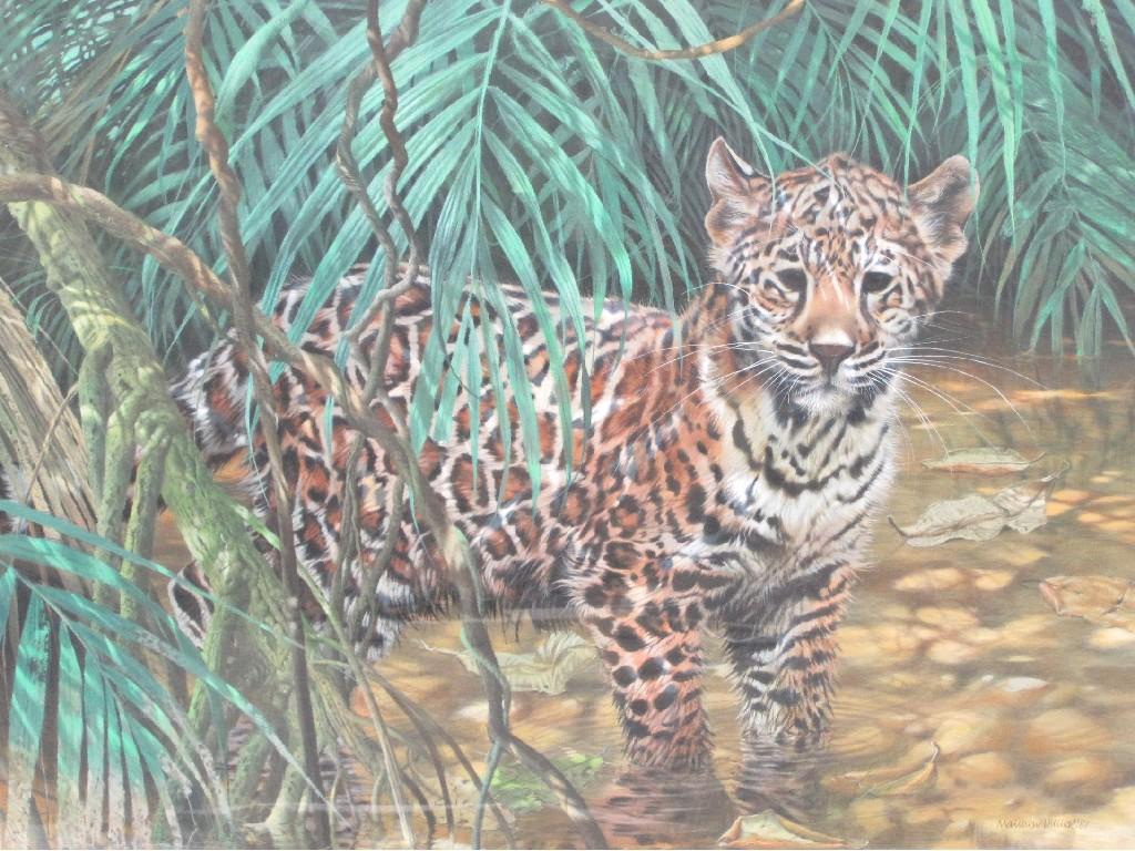 Appraisal: MATTHEW HILLIER b Baby Jaguarsigned and dated 'Matthew Hillier 'gouache