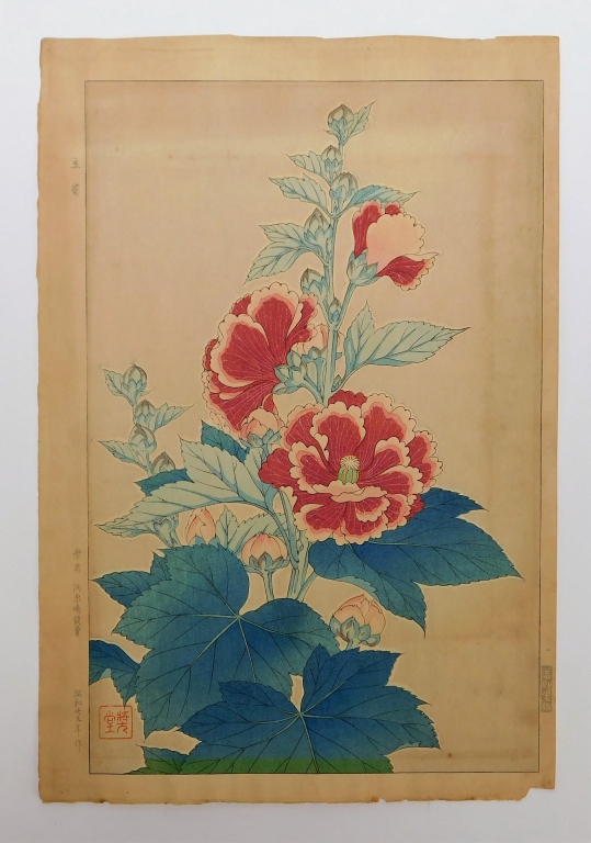 Appraisal: SHODO KAWARAZAKI HOLLYHOCK WOODBLOCK PRINT Japan - Botanical print depicting