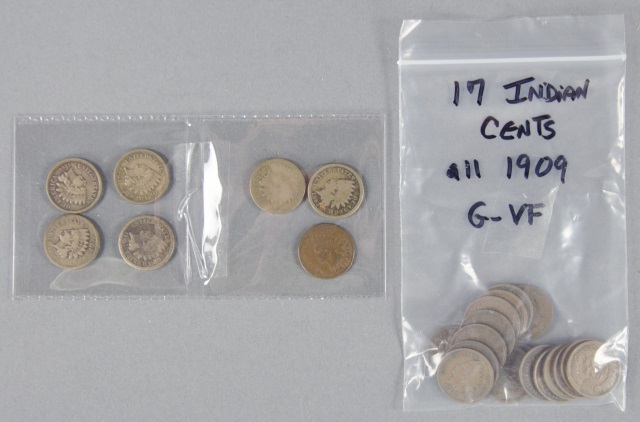 Appraisal: Indian Cent LotConsists of all dates - Grading G-F coins