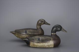 Appraisal: Mallard Pair Charles H Althoff Mallard Pair Charles H Althoff